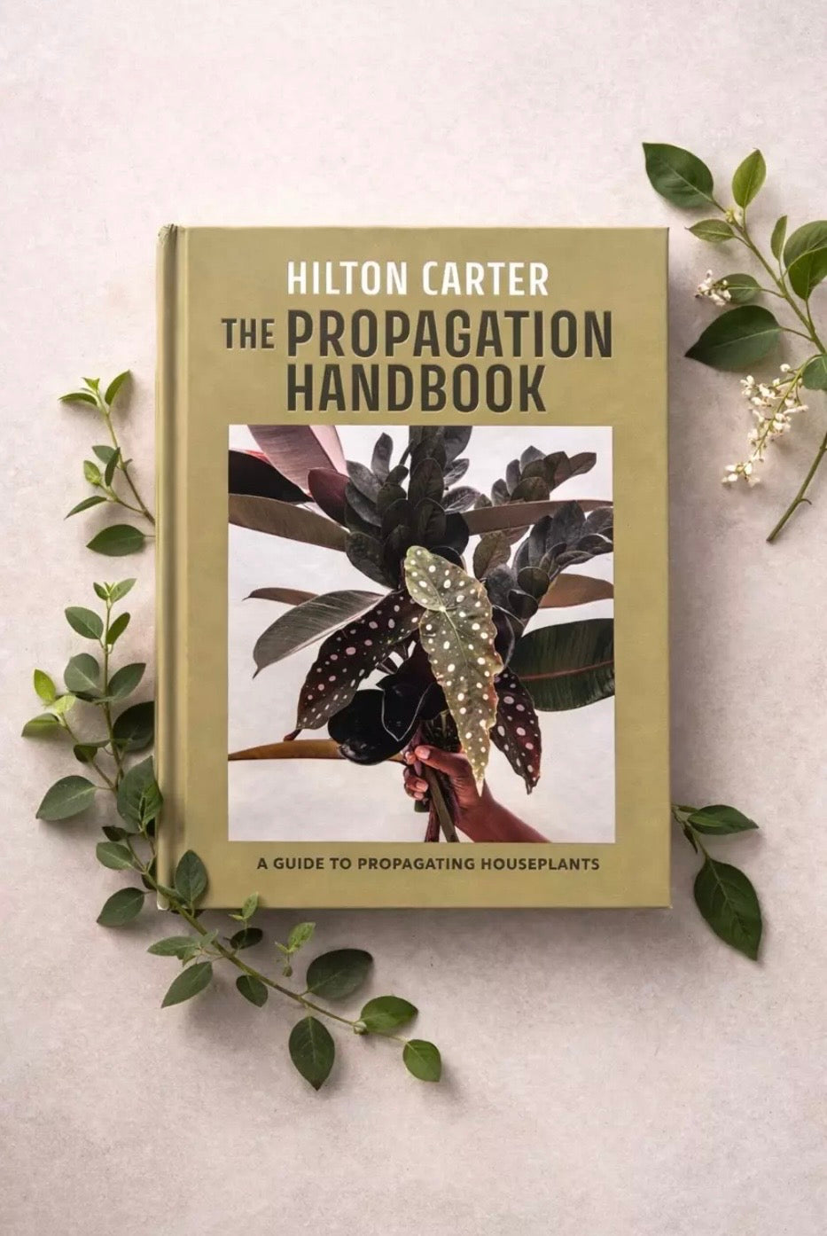 The Propagation Handbook