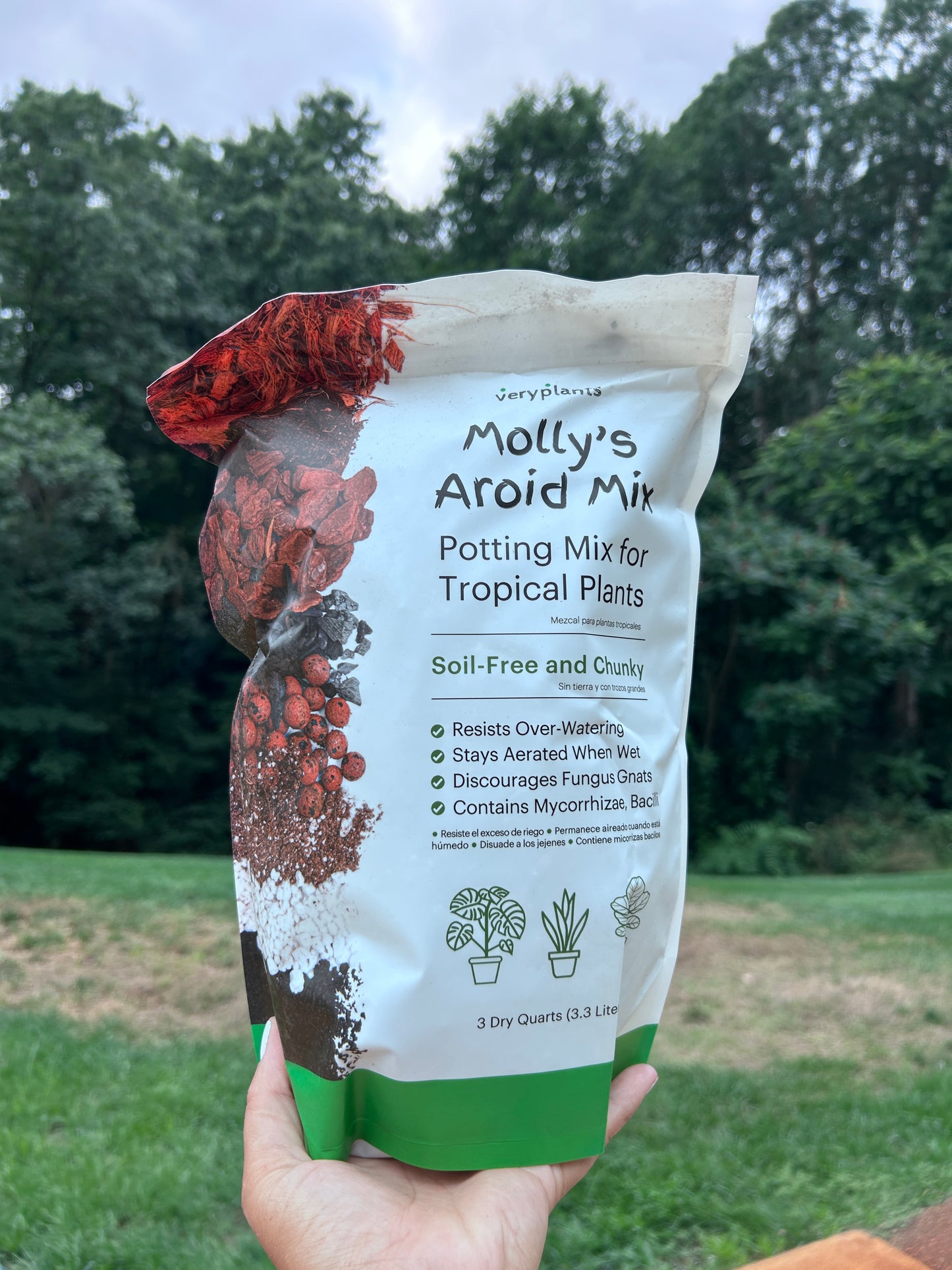 Mollys Aroid Mix - 3Q